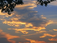 FA067_L.jpg